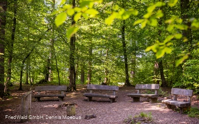 Andachtsplatz Friedwald